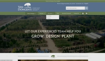 Web Design
